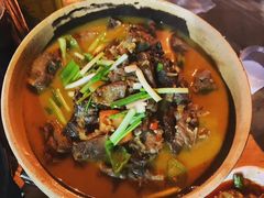 -龙小海荆沙鸽子店(瑞安街店)
