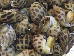 -新河畔海鲜酒楼(虎门店)