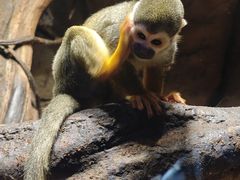 -波塞冬旅游度假区