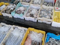 -芦潮港集贸市场