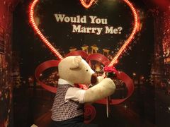 -济州岛泰迪熊博物馆