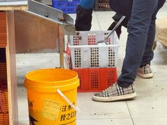 -阿男野栗王(金门路店)