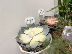 -苗祖咖啡(洛克时代中心店)