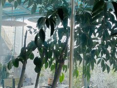 -蘑统田下·野生菌火锅