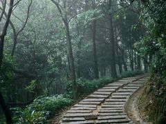 -阳台山森林公园