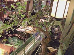 -绿茶餐厅(南昌王府井店)