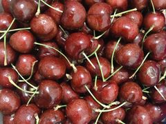 -红星农博物流中心