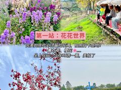 -盈香心动乐园