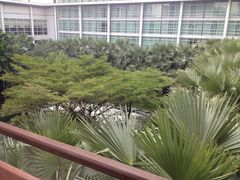 iphone_upload_pic-曼谷铂尔曼皇权酒店
