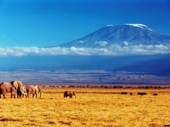 -乞力马扎罗山