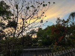 -福道