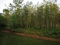 -常德桃花源景区