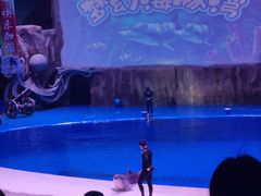 -华夏文旅海洋公园