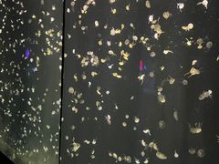 -合肥海洋世界