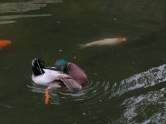 -三里河公园