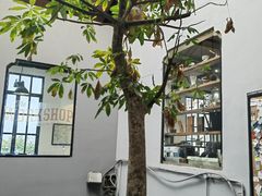 -The Workshop Coffee