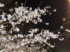 -BISTROFIORE美伊娜(伊犁南路店)