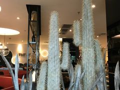 -必胜客(国展店)