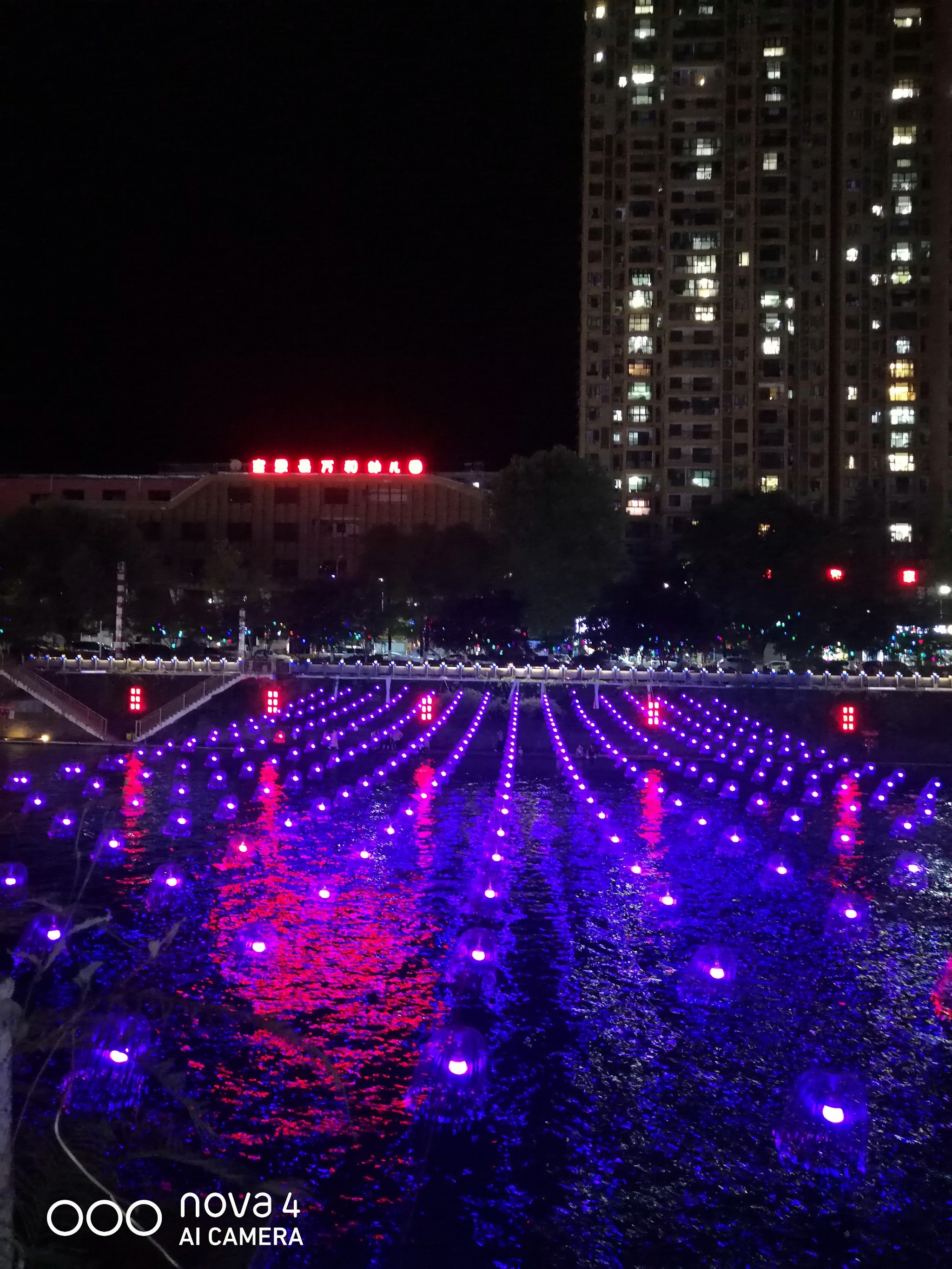 彩灯夜景图片真实图片图片