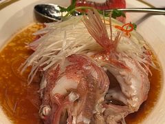 -金轩中餐厅 Jin Xuan(浦东丽思卡尔顿酒店)