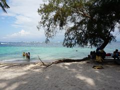 景点-东姑阿都拉曼海洋公园