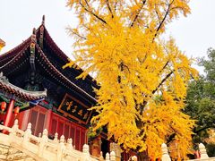 景点-宝通禅寺
