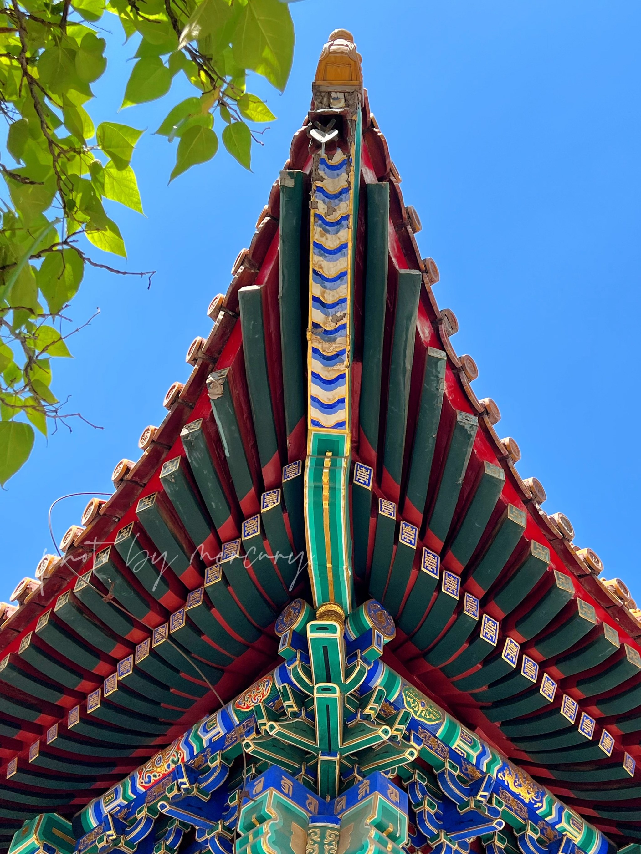 北京的屋檐太美了,随手一拍都是美景,蓝天下好绝