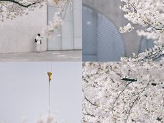 -龙美术馆(西岸馆)