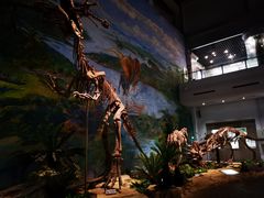 -自贡恐龙博物馆