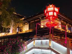 -泗洪洪泽湖湿地景区