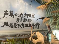 -中国湿地博物馆