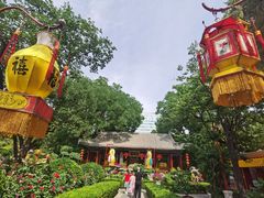 -白家大院·王府宫廷菜(苏州街店)