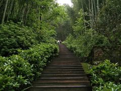 -滴水洞景区