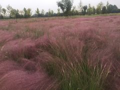 -汉长安城未央宫国家考古遗址公园