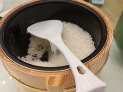 五常大米饭-五谷芳乳鸽王(海景店)