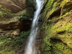 -中国大熊猫保护研究中心雅安碧峰峡基地