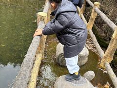 -王顺山国家森林公园