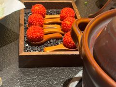 -季季山·云南野生菌火锅(上海首店)