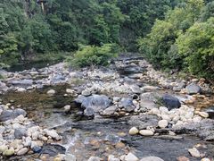 -石台牯牛降景区