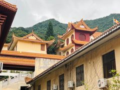 -深圳仙湖植物园