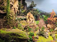 -陕西自然博物馆