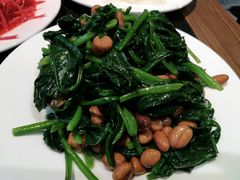 -友乐居羊蝎子(西直门店)