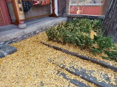 -泰山风景名胜区-普照寺