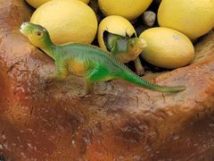 -上海浦江郊野公园-2号停车场