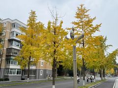 -四川大学(望江校区)