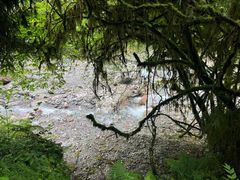 -西岭雪山大飞水景区