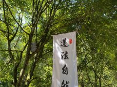 -青城山