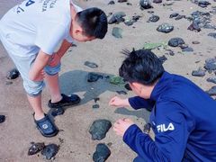 -临高角