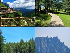 -芦芽山旅游度假区