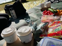 -深圳湾公园(南山区)